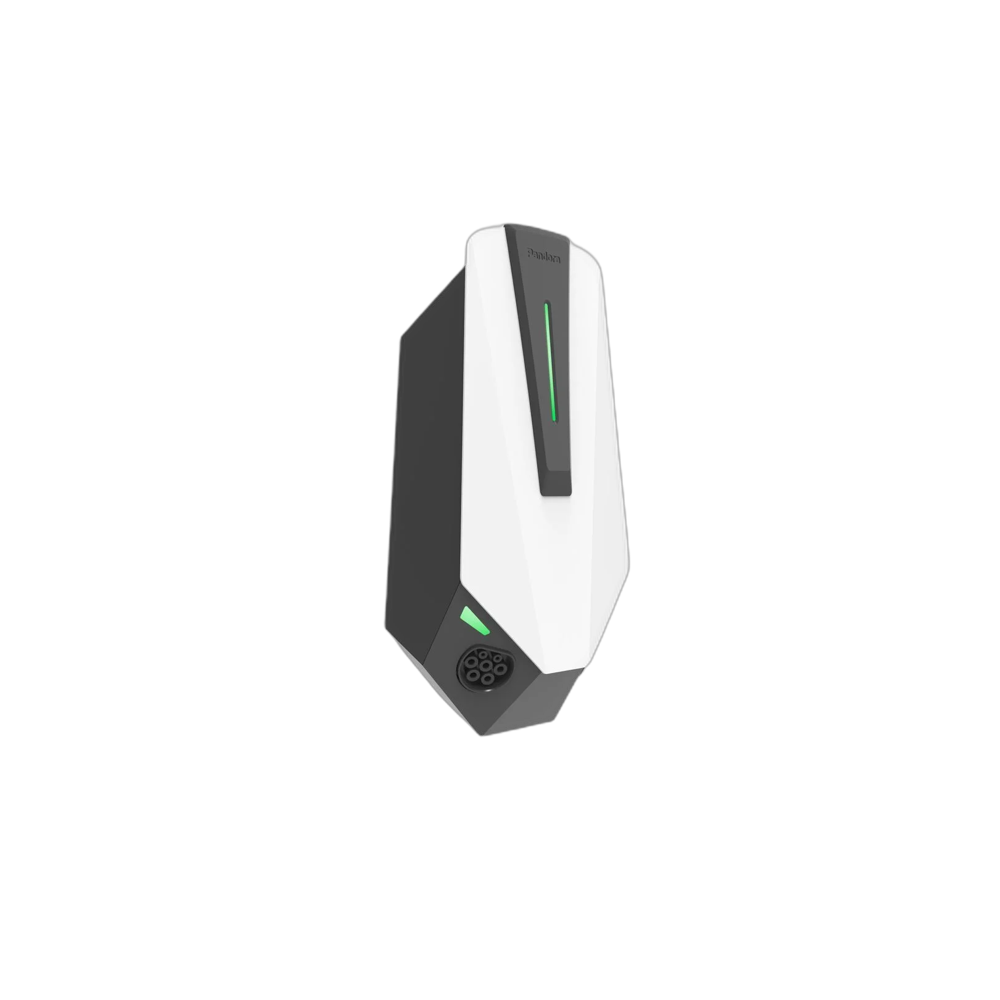 48906078.jpg.png
